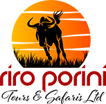 Explore Kenya's Wonders with Riro Porini Tours and Safaris Limited – Your Gateway to Unforgettable Adventures in Kenya and beyond