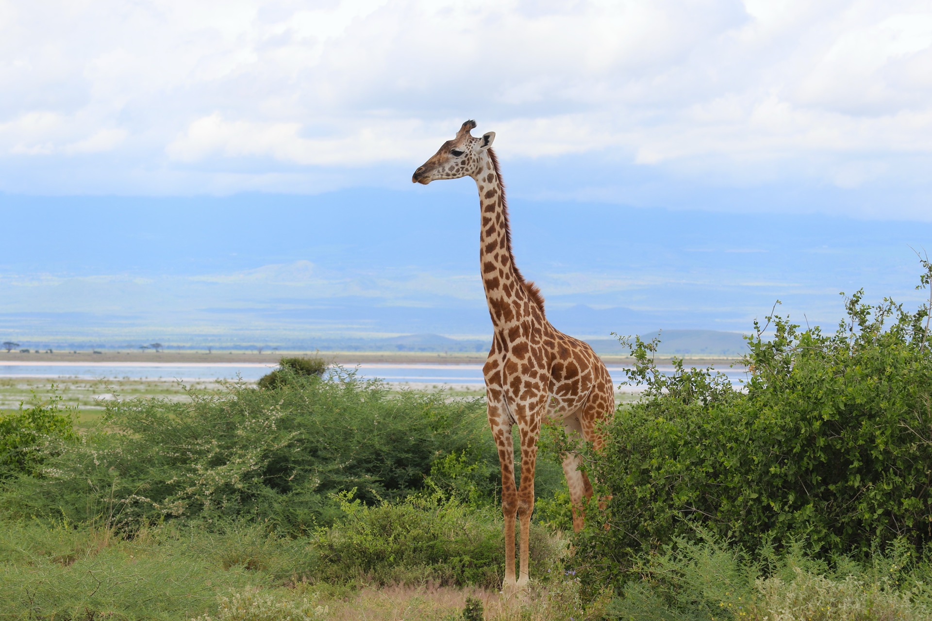 gallery-explore-kenya-s-wonders-with-riro-porini-tours-and-safaris